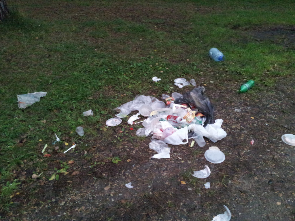 Someone's party remains