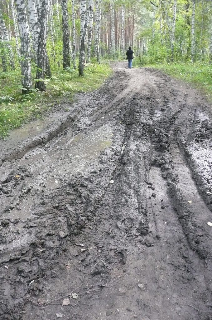 The path is getting difficult...